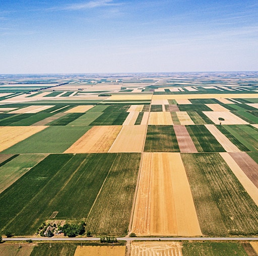 Property developers - everything you need to know about biodiversity net gain